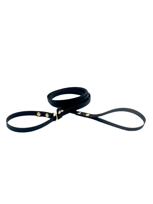 Traditional Dog Slip Lead - 5/8” BioThane® with Brass Hardware