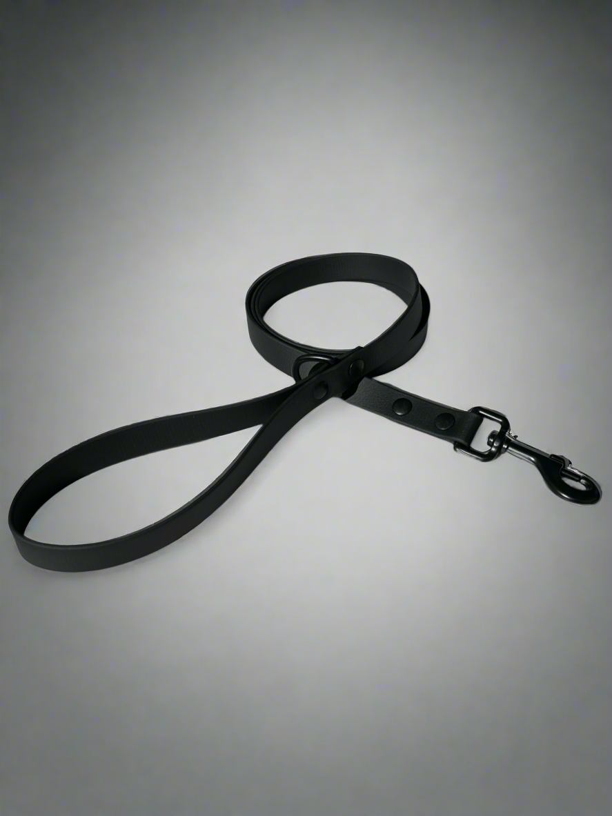 Blackout Dog Leash