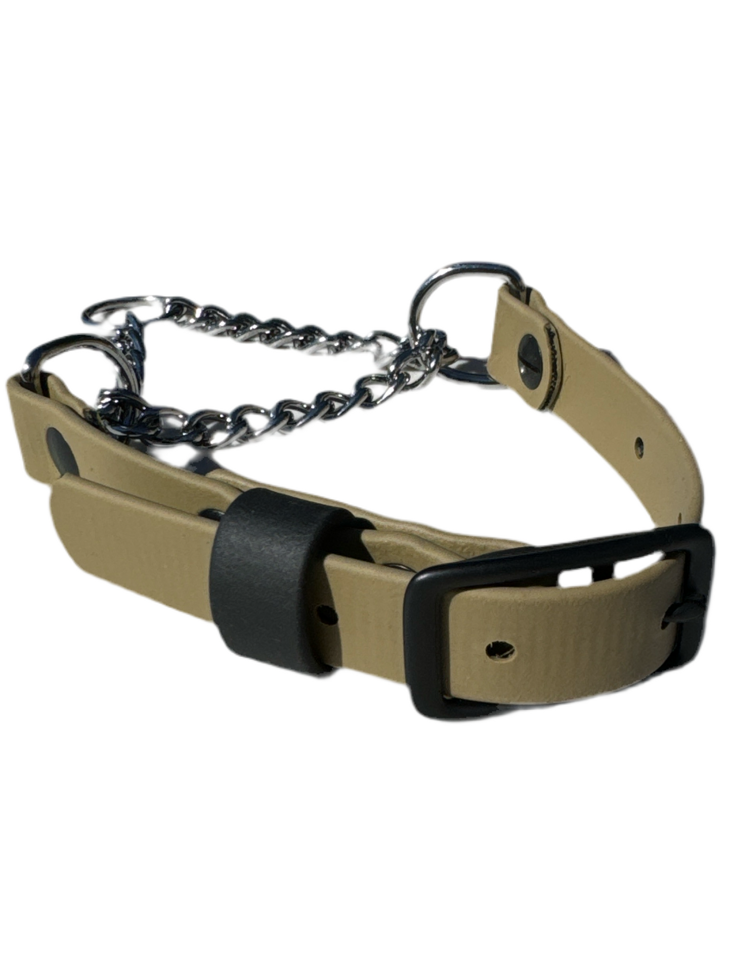 Martingale Dog Collar