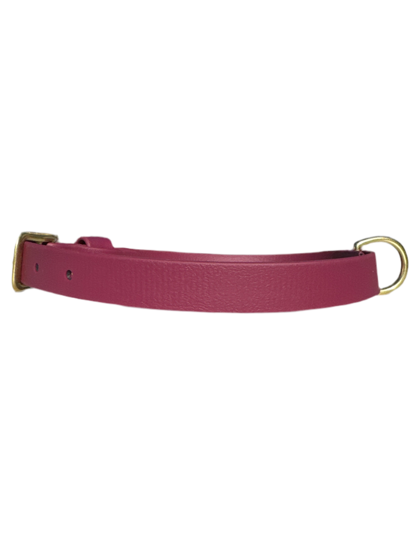 Side View of Wine Laurel Dog Collar with brass buckle