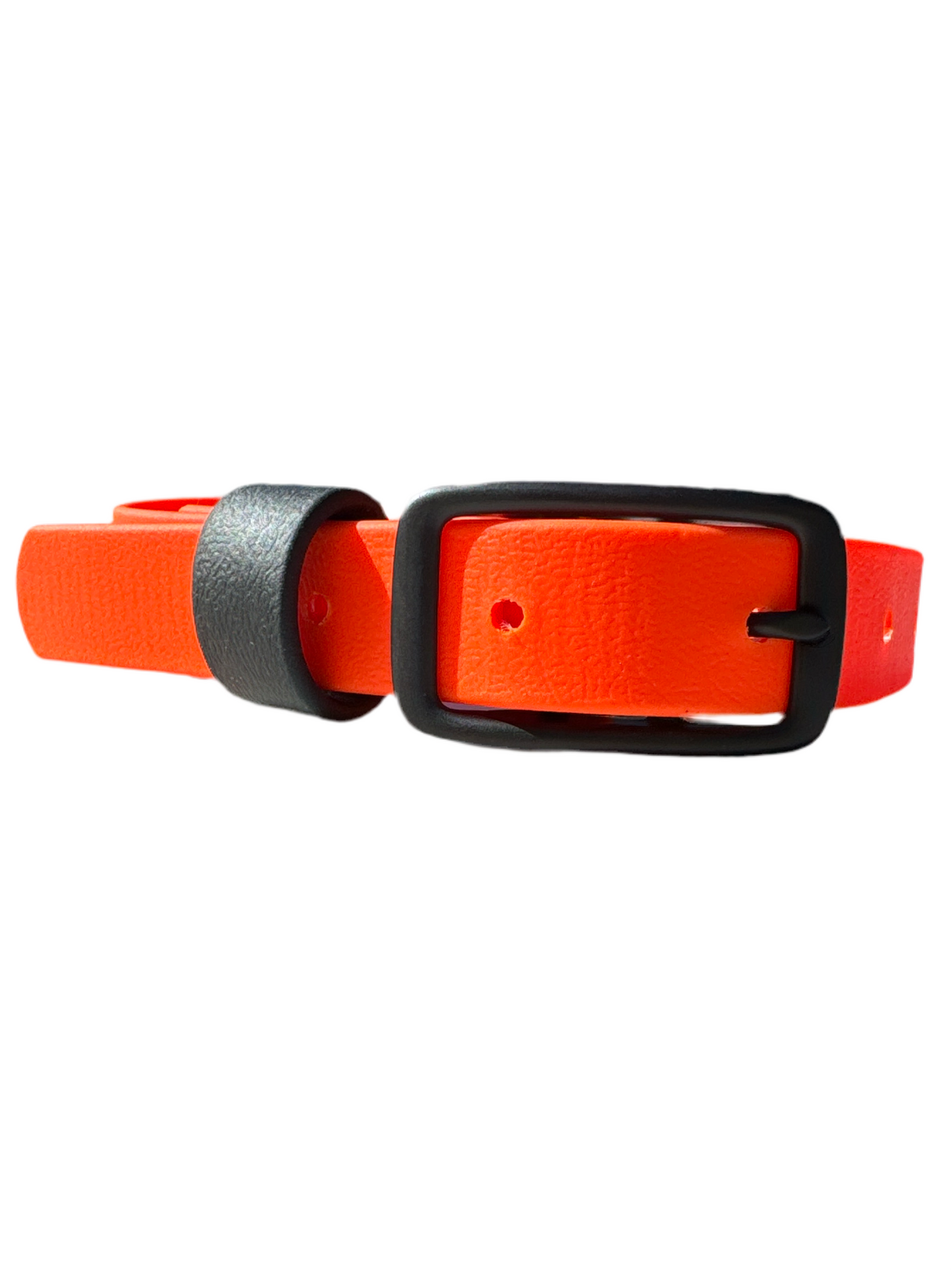 Laurel Dog Collar (Small and Medium Dogs)