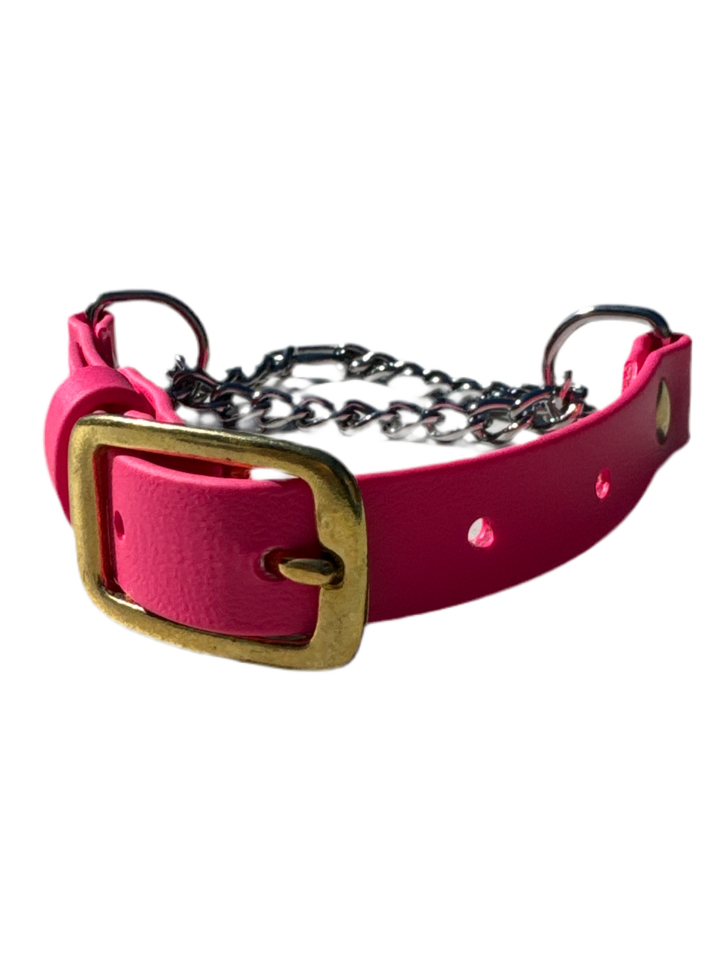 Martingale Dog Collar