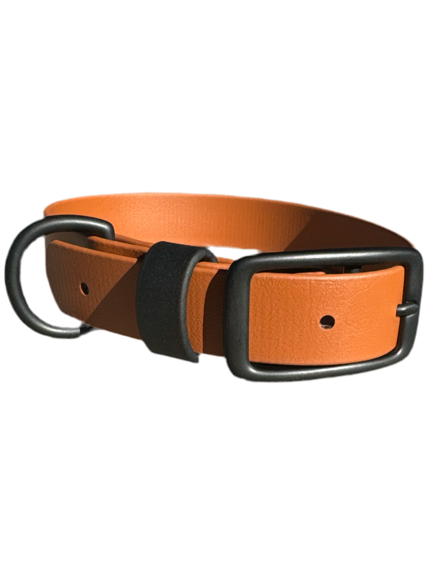 Casual Dog Collar (Medium and Large Dogs)