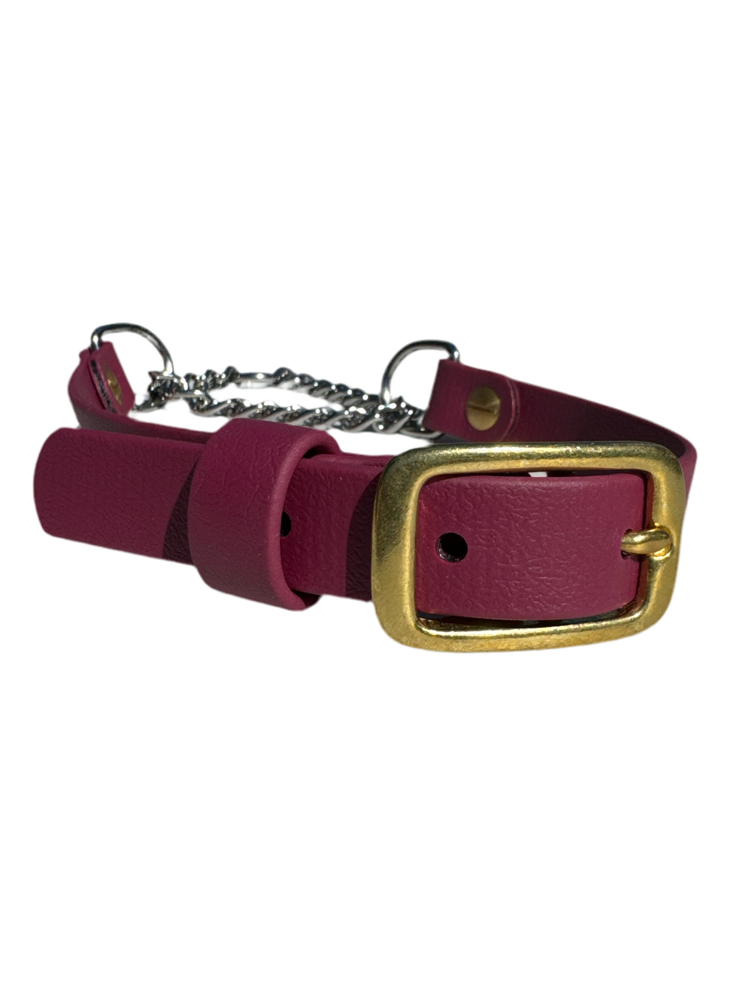 Martingale Dog Collar