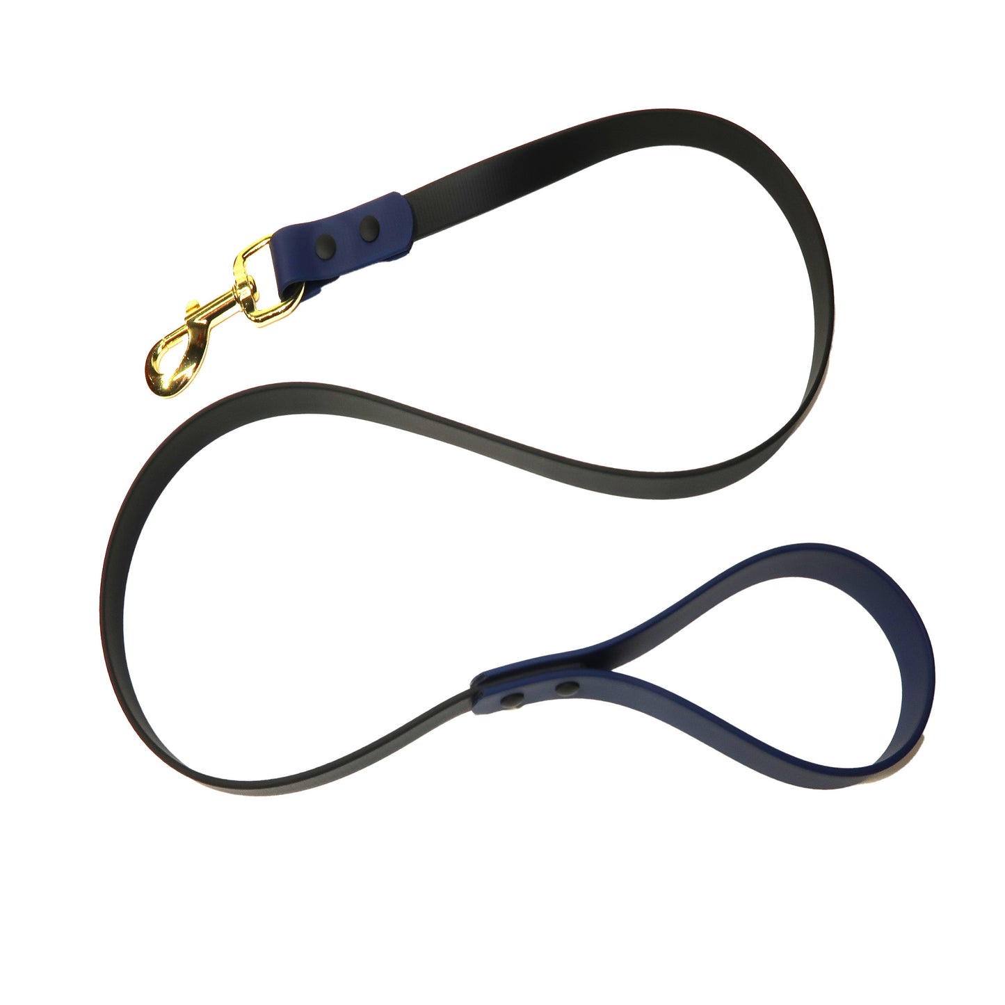 Black and Blue Dog Leash