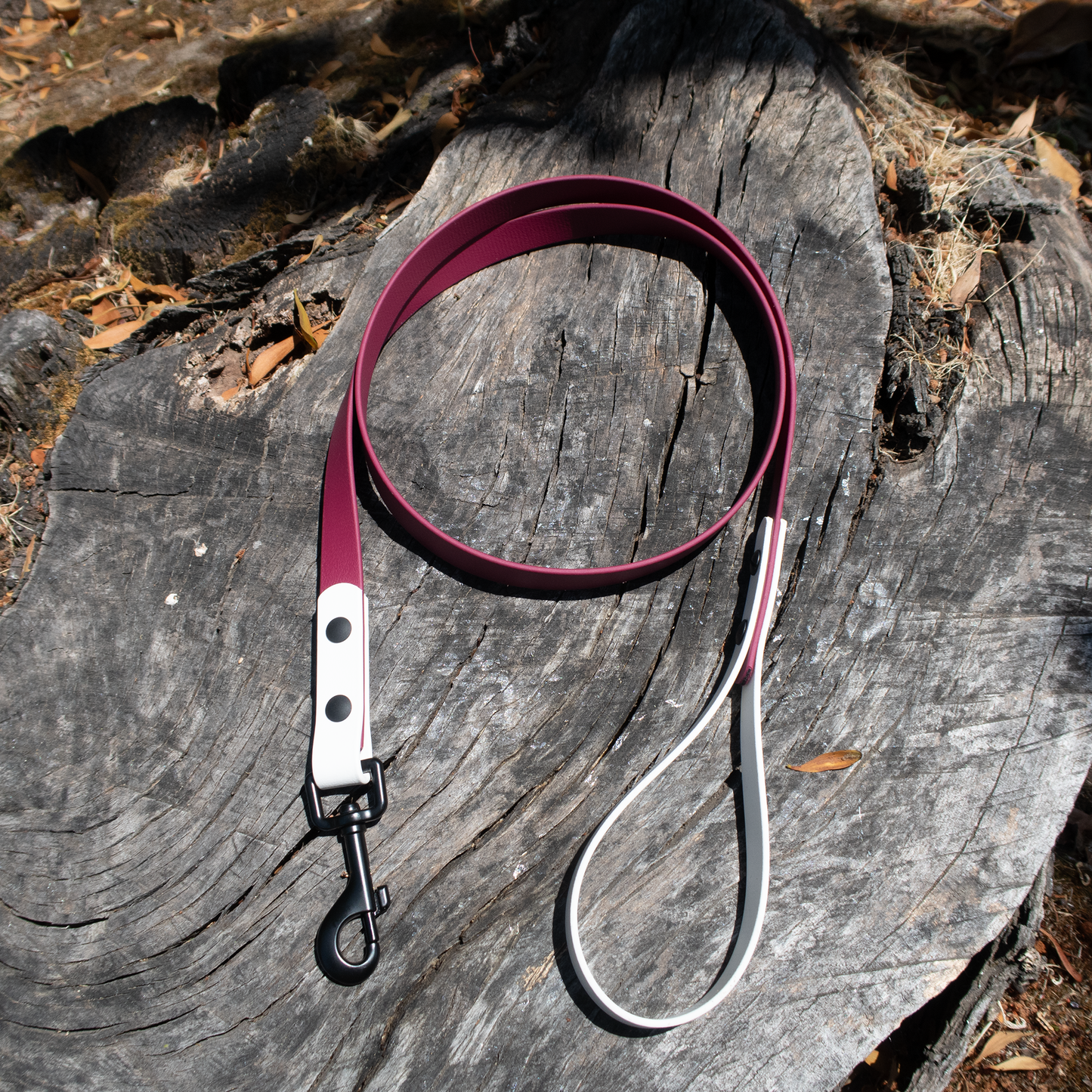 White/Wine Dog Leash