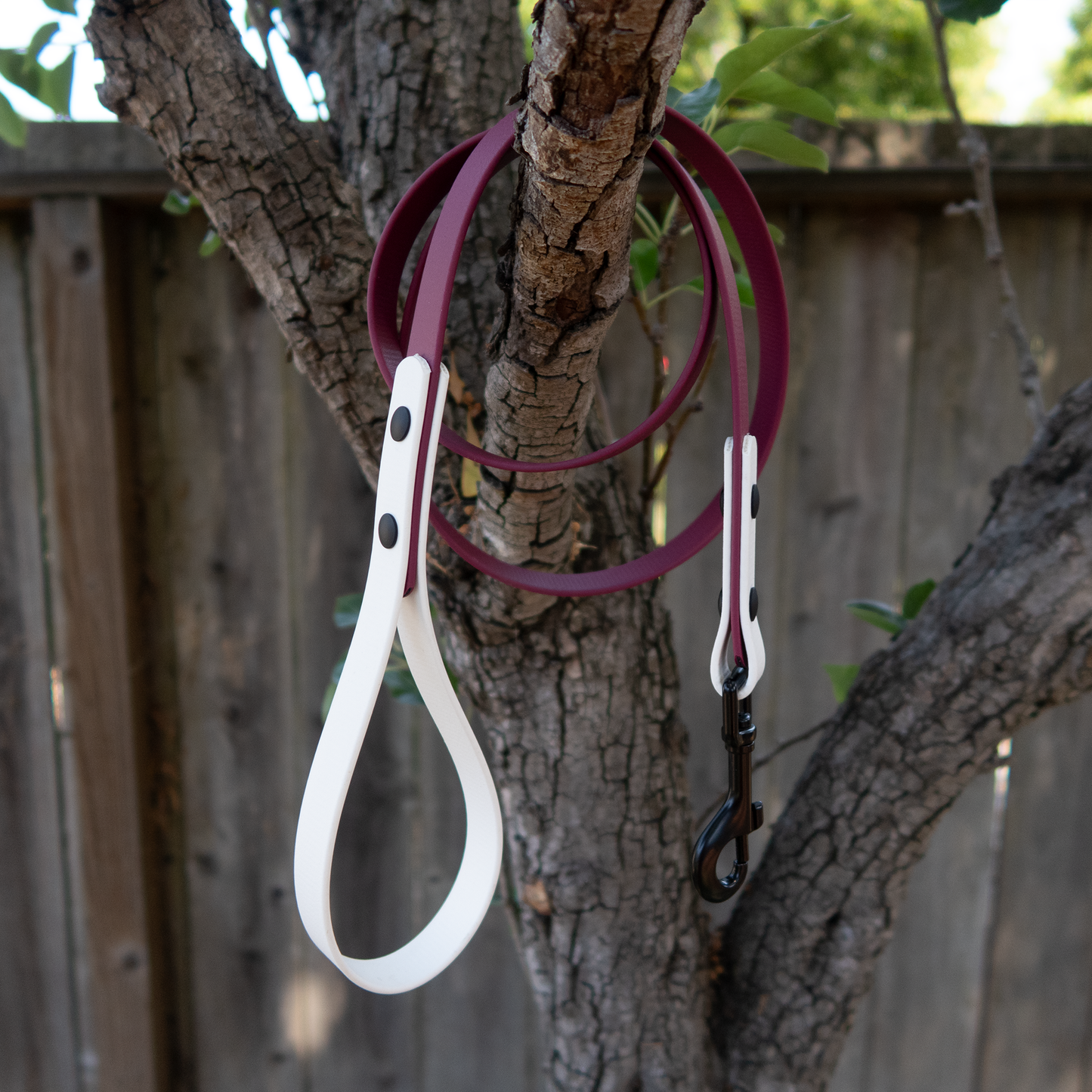 White/Wine Dog Leash